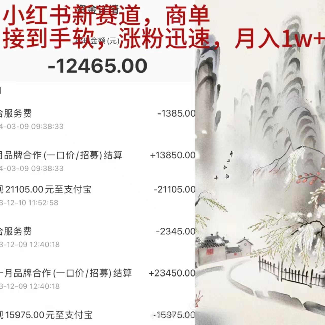 (9476期)小红书新赛道，商单接到手软，涨粉迅速，月入1w+-爱我搜(25so)资源网