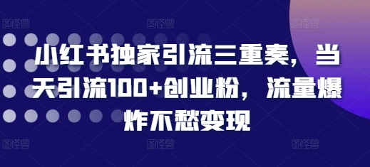 小红书独家引流三重奏，当天引流100+创业粉，流量爆炸不愁变现【揭秘】-爱我搜(25so)资源网