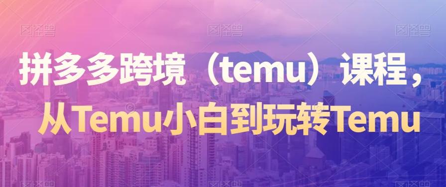 拼多多跨境（temu）课程，从Temu小白到玩转Temu-爱我搜(25so)资源网