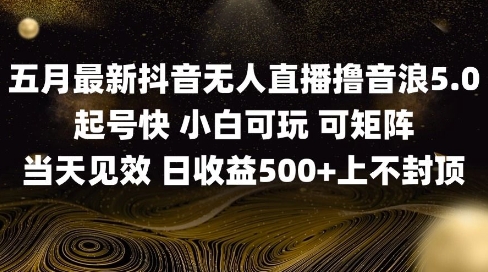 2025五月最新无人直播撸音浪单日产出5张+实操教程【揭秘】-爱我搜(25so)资源网