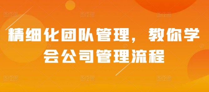 精细化团队管理，教你学会公司管理流程-爱我搜(25so)资源网