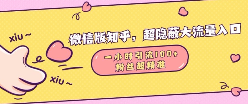 微信版知乎，超隐蔽流量入口1小时引流100人，粉丝质量超高【揭秘】-爱我搜(25so)资源网