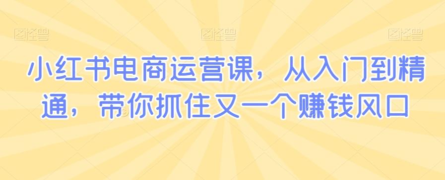 小红书电商运营课，从入门到精通，带你抓住又一个赚钱风口-爱我搜(25so)资源网