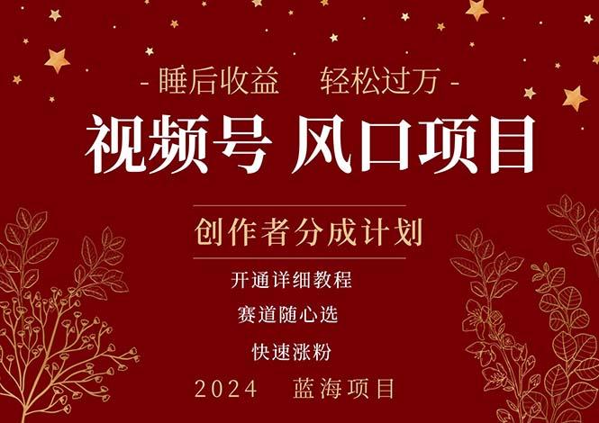 拥有睡眠收益的微信视频号大风口项目，轻松月入过万+，多赛道选择，可…-爱我搜(25so)资源网