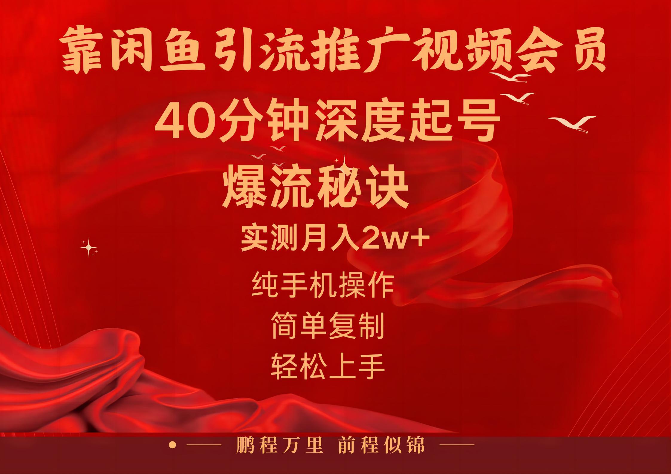 闲鱼暴力引流推广视频会员，能做到日入2W+，操作简单-爱我搜(25so)资源网