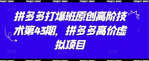 拼多多打爆班原创高阶技术第43期，拼多多高价虚拟项目-爱我搜(25so)资源网