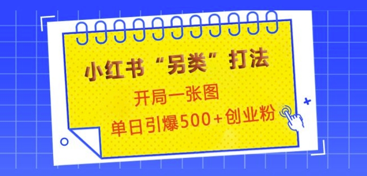小红书“另类”打法，开局一张图，单日引爆500+精准创业粉【揭秘】-爱我搜(25so)资源网