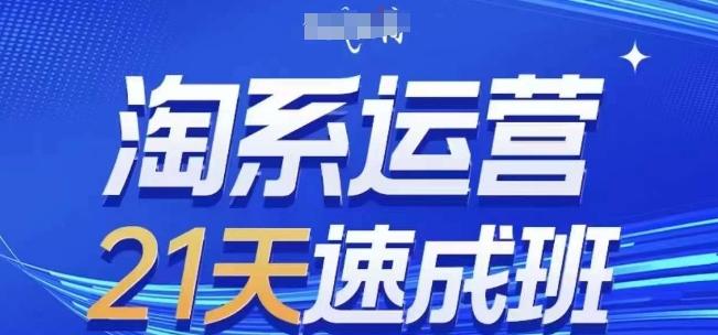 淘系运营21天速成班(更新24年7月)，0基础轻松搞定淘系运营，不做假把式-爱我搜(25so)资源网
