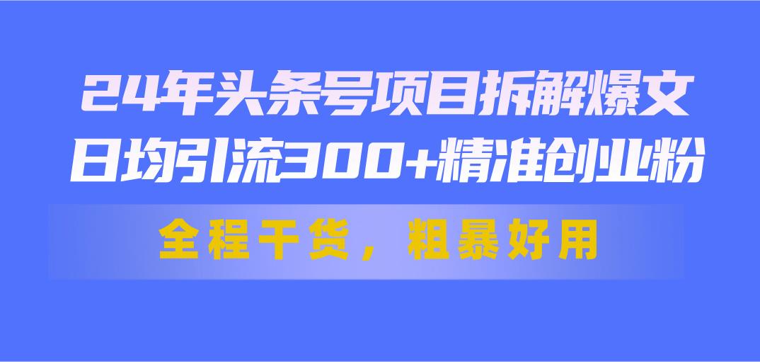24年头条号项目拆解爆文，日均引流300+精准创业粉，全程干货，粗暴好用-爱我搜(25so)资源网