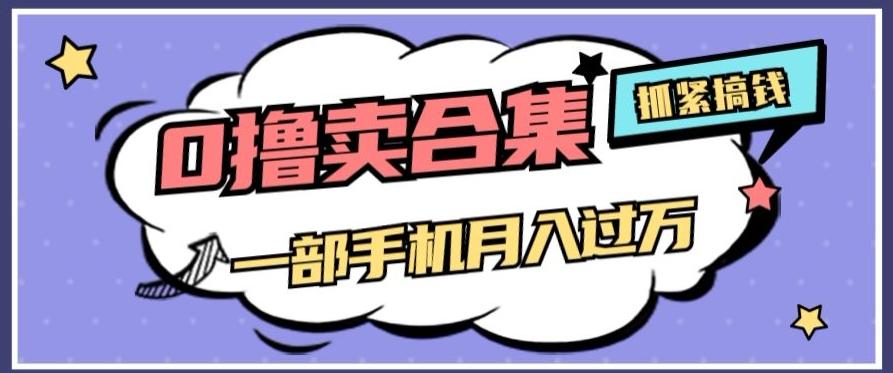 0撸项目月入过万，售卖全套ai工具合集，一单29.9元，一部手机即可【揭秘】-爱我搜(25so)资源网