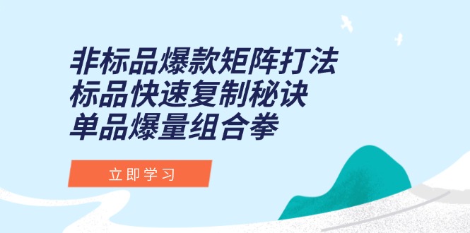 非标品爆款矩阵打法，标品快速复制秘诀，单品爆量组合拳-爱我搜(25so)资源网