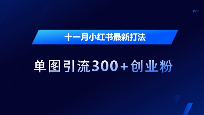十一月小红书最新打法，单图引流300+创业粉【揭秘】-爱我搜(25so)资源网