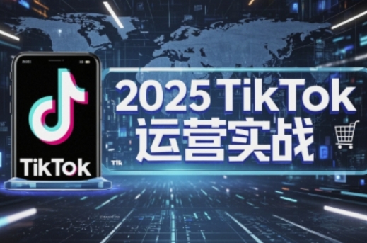 2025TikTok电商运营，掌握TikTok店铺运营核心技巧，实现低成本高转化-爱我搜(25so)资源网