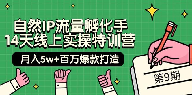 (9881期)自然IP流量孵化手 14天线上实操特训营【第9期】月入5w+百万爆款打造 (74节)-爱我搜(25so)资源网
