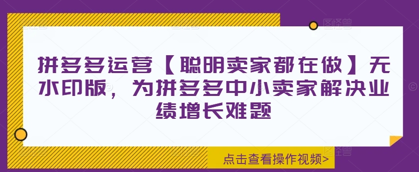拼多多运营【聪明卖家都在做】无水印版，为拼多多中小卖家解决业绩增长难题-爱我搜(25so)资源网