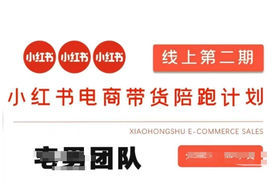 小红书电商带货课2期，月利润20个的小红书电商的有货源，无货源，虚拟产品，付费投流等整套玩法-爱我搜(25so)资源网
