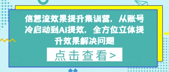 信息流效果提升集训营，从账号冷启动到AI提效，全方位立体提升效果解决问题-爱我搜(25so)资源网