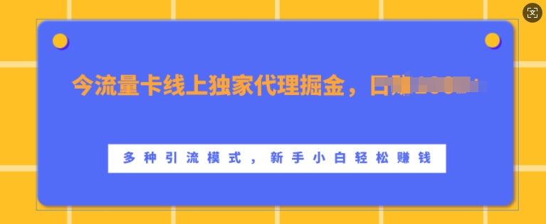 流量卡线上独家代理掘金，日入1k+ ，多种引流模式，新手小白轻松上手【揭秘】-爱我搜(25so)资源网