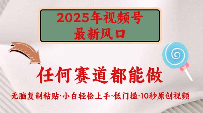 2025年视频号新风口，低门槛只需要无脑执行-爱我搜(25so)资源网