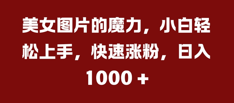 美女图片的魔力，小白轻松上手，快速涨粉，日入几张【揭秘】-爱我搜(25so)资源网