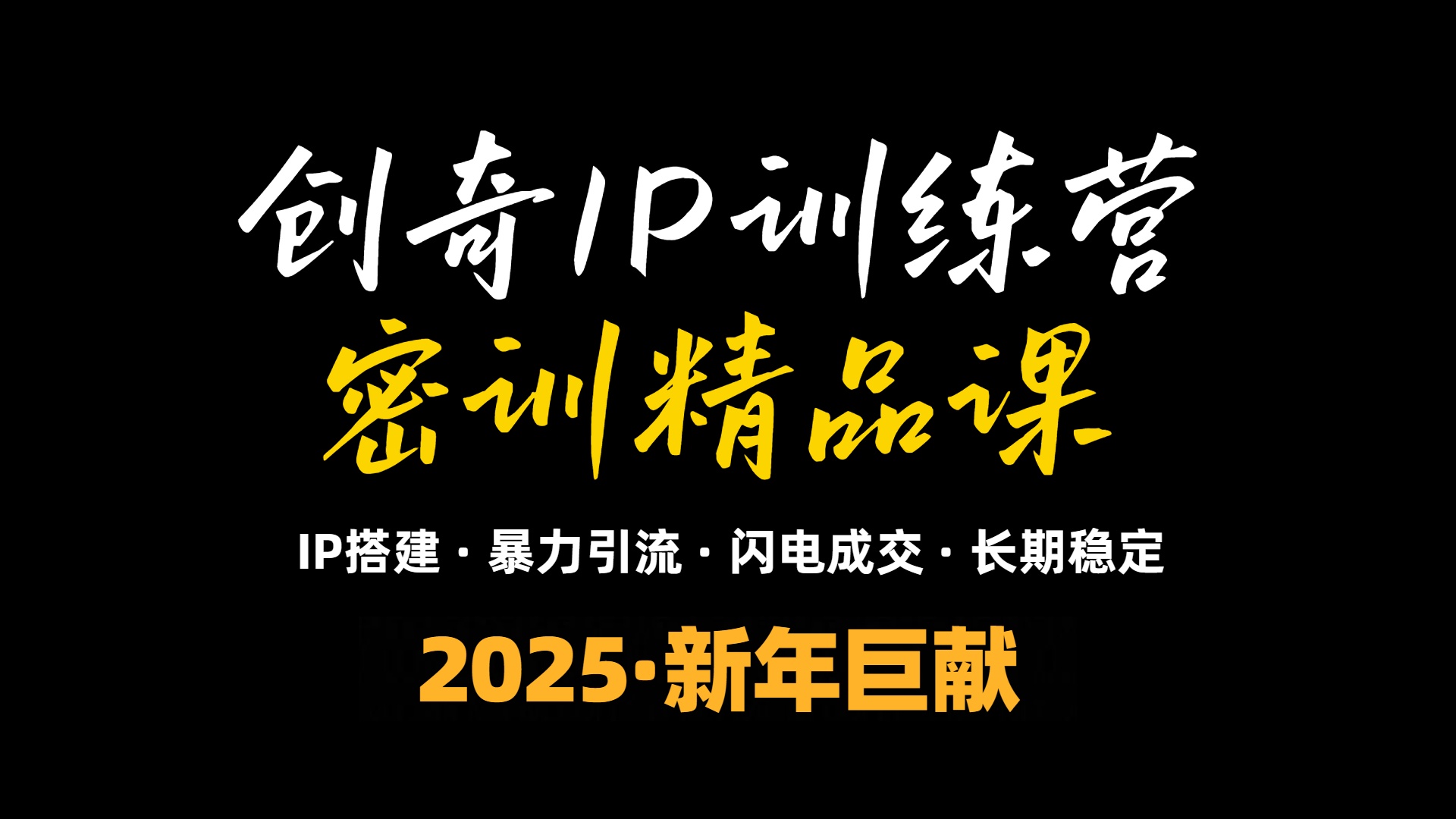 2025年“知识付费IP训练营”小白避坑年赚百万，暴力引流，闪电成交-爱我搜(25so)资源网