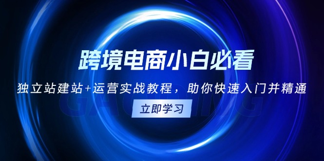 跨境电商小白必看！独立站建站+运营实战教程，助你快速入门并精通-爱我搜(25so)资源网