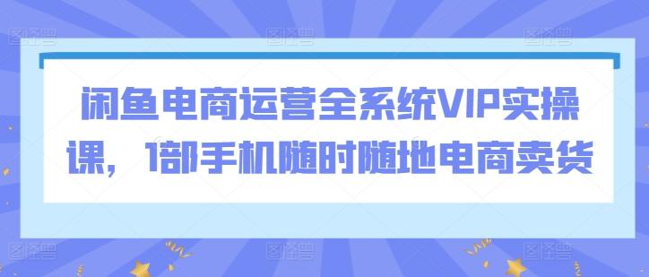 闲鱼电商运营全系统VIP实操课，1部手机随时随地电商卖货-爱我搜(25so)资源网