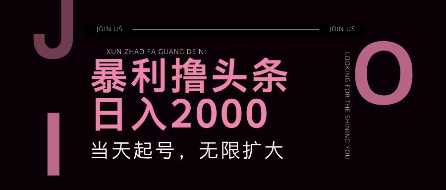 暴利撸头条，单号日入2000+，可无限扩大-爱我搜(25so)资源网