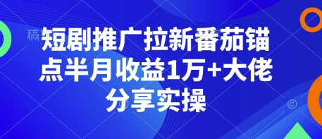 短剧推广拉新番茄锚点半月收益1万+大佬分享实操-爱我搜(25so)资源网