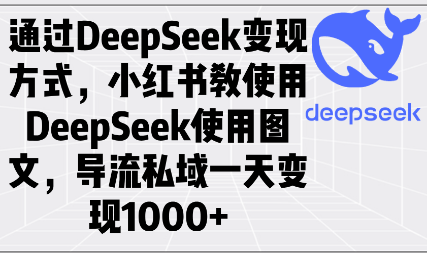 通过DeepSeek变现方式，小红书教使用DeepSeek图文，导流私域一天变现1000+-爱我搜(25so)资源网
