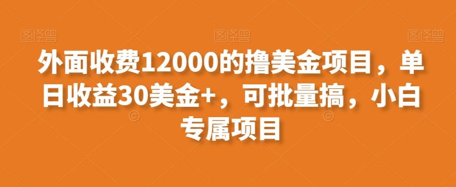 外面收费12000的撸美金项目，单日收益30美金+，可批量搞，小白专属项目-爱我搜(25so)资源网