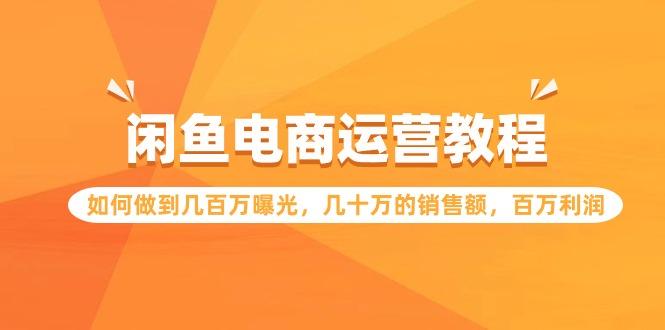 (9560期)闲鱼电商运营教程：如何做到几百万曝光，几十万的销售额，百万利润-爱我搜(25so)资源网