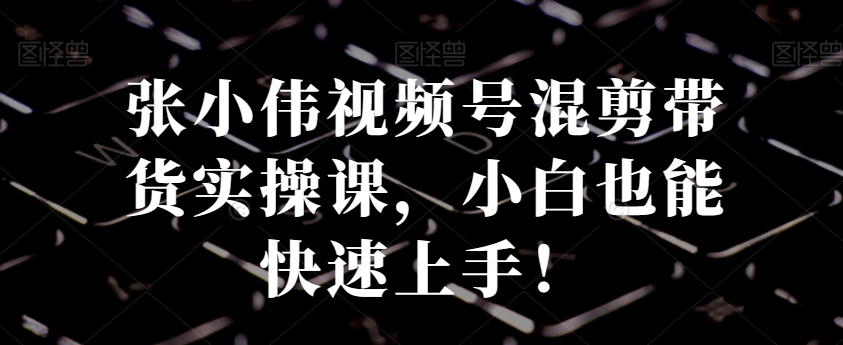 张小伟视频号混剪带货实操课，小白也能快速上手！-爱我搜(25so)资源网