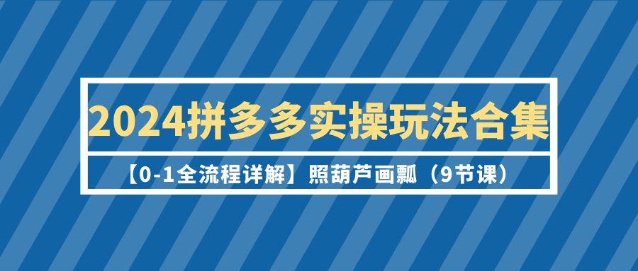(9559期)2024拼多多实操玩法合集【0-1全流程详解】照葫芦画瓢(9节课)-爱我搜(25so)资源网