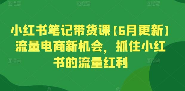 小红书笔记带货课【6月更新】流量电商新机会，抓住小红书的流量红利-爱我搜(25so)资源网