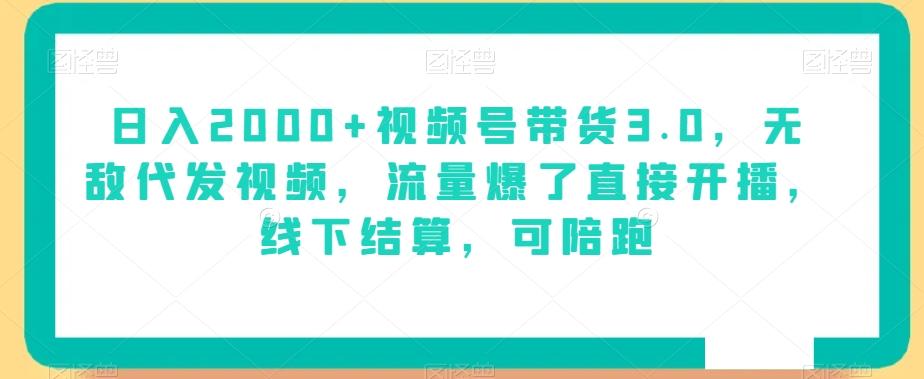 日入2000+视频号带货3.0，无敌代发视频，流量爆了直接开播，线下结算，可陪跑-爱我搜(25so)资源网