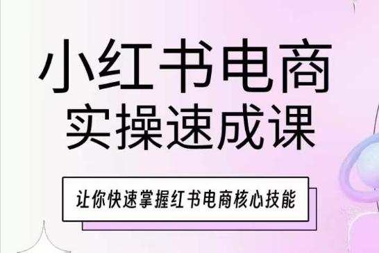 小红书电商实操速成课，让你快速掌握红书电商核心技能-爱我搜(25so)资源网