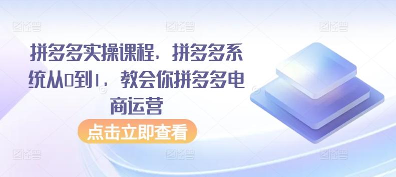 拼多多实操课程，拼多多系统从0到1，教会你拼多多电商运营-爱我搜(25so)资源网