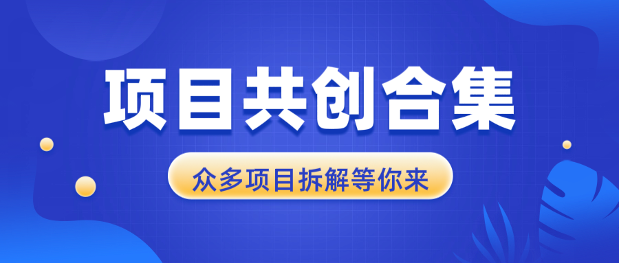 项目共创合集，从0-1全过程拆解，让你迅速找到适合自已的项目-爱我搜(25so)资源网