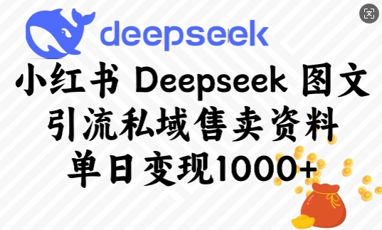 小红书Deepseek图文引流私域售卖资料，单日变现多张-爱我搜(25so)资源网