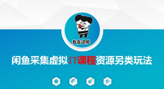 闲鱼采集虚拟IT课程资源另类玩法，干货满满-爱我搜(25so)资源网