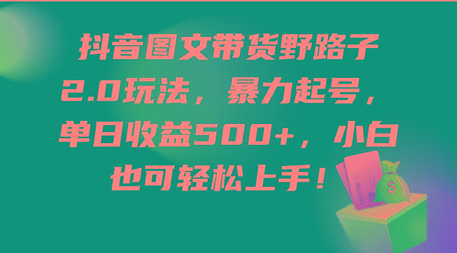 (9790期)抖音图文带货野路子2.0玩法，暴力起号，单日收益500+，小白也可轻松上手！-爱我搜(25so)资源网