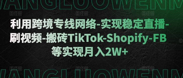 利用跨境专线网络-实现稳定直播-刷视频-搬砖TikTok-Shopify-FB等实现月入2W+【揭秘】-爱我搜(25so)资源网
