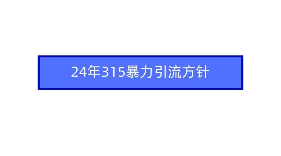 (9398期)2024年315暴力引流方针-爱我搜(25so)资源网