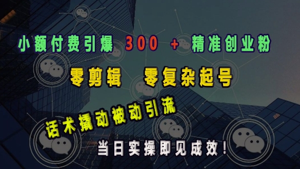 小额付费引爆 300 + 精准创业粉，零剪辑、零复杂起号，话术撬动被动引流，当日实操即见成效-爱我搜(25so)资源网