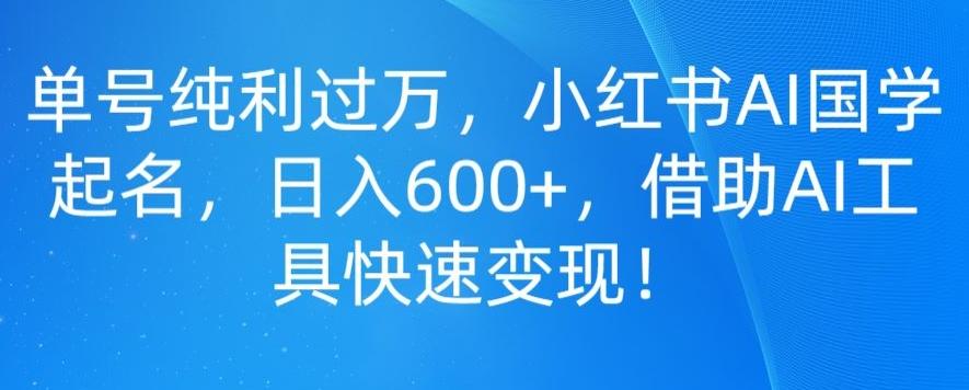 单号纯利过万，小红书AI国学起名，日入600+，借助AI工具快速变现-爱我搜(25so)资源网