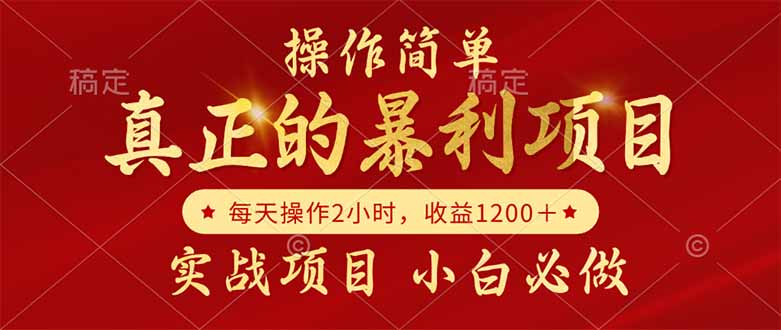 真正的暴利项目，操作简单，每天收益1200＋，自己做老板-爱我搜(25so)资源网