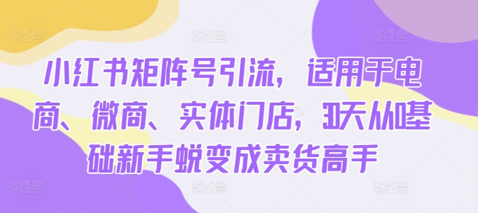 小红书矩阵号引流，适用于电商、微商、实体门店，30天从0基础新手蜕变成卖货高手-爱我搜(25so)资源网