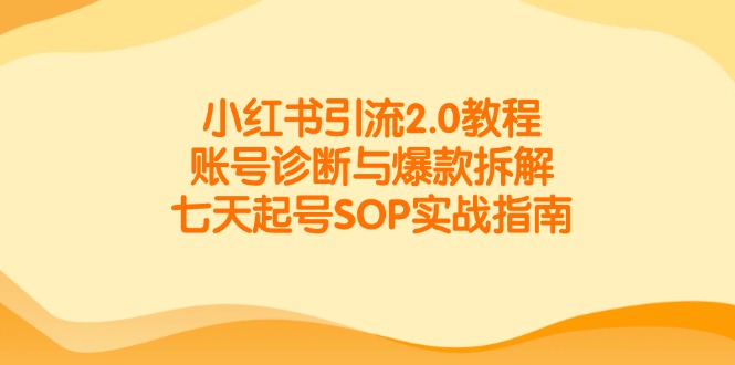 小红书引流2.0教程，账号诊断与爆款拆解，七天起号SOP实战指南-爱我搜(25so)资源网