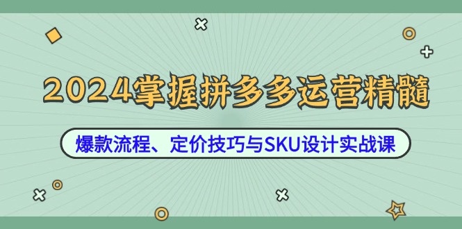 2024掌握拼多多运营精髓：爆款流程、定价技巧与SKU设计实战课-爱我搜(25so)资源网